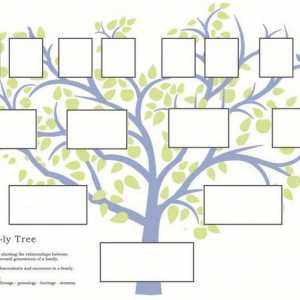Cum se creează un arbore genealogic. Programul pentru construirea unui arbore genealogic