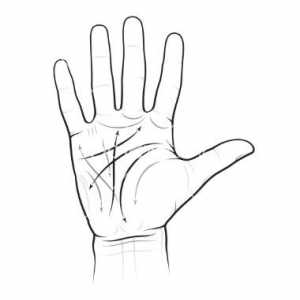 Cum palmistry interpretează semnificația liniilor pe palma mâinii tale