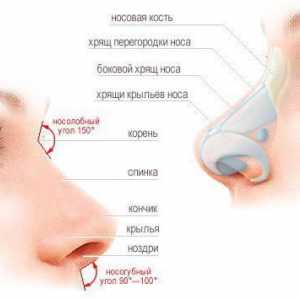 Cum de a elimina un cocoș în nas? Centrul de Cosmetologie și Chirurgie Plastică