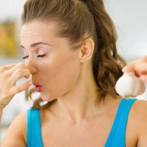 Cum să eliminați mirosul de usturoi din gură: cele mai eficiente metode care nu vă vor dezamăgi