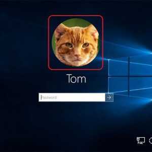 Cum să ștergeți un avatar în Windows 10, schimbați-l sau setați o imagine standard