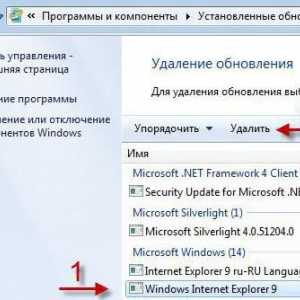 Cum pot să șterg Internet Explorer din Windows 7 sau din orice alt sistem?