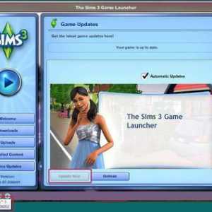 Cum se instalează modulul pe "The Sims 3" - instrucțiunea completă