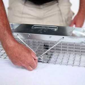 Cum se instalează un set de șoareci: instrucțiuni și sfaturi
