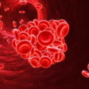 Ca și în testele de sânge, hemoglobina este indicată: indicii de bază și transcripția