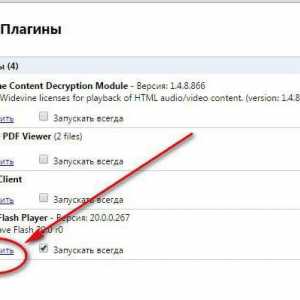 Cum să activați Adobe Flash Player în Plugin-urile Yandex sau totul despre lucrul cu modulul