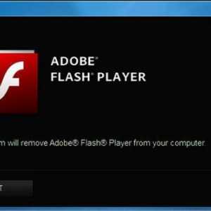 Cum se activează "Flash Player" în Google Chrome: sfaturi și trucuri
