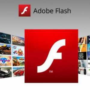 Cum se activează flash player-ul în browser-ul Yandex? Instalare, actualizare
