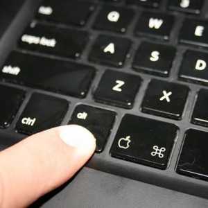 Cum se introduce un buton pe laptop? Un buton a ieșit din laptop - ce ar trebui să fac?