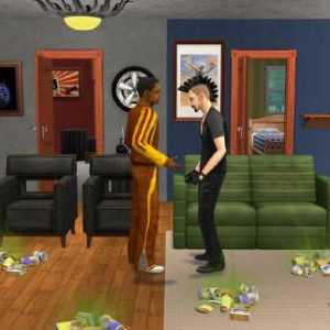 Cum se introduce codul în `Sims 2`? `Sims 2` - coduri pentru haine