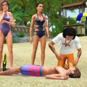 Cum se introduc codurile pentru "Sims 3" pentru nevoi