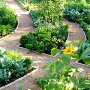 Cum de a alege o frontieră de grădină pentru site-ul dvs.?