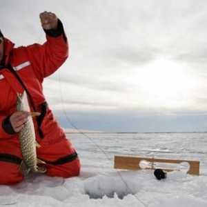 Cum de a alege un sunet adâncime de iarnă? Echo sonerii pentru pescuitul de iarnă: recenzii. Ce…