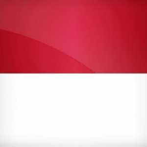 Ce arată steagul Monaco și cum diferă de indonezian