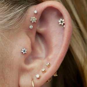 Cum se pierde urechile: este cartilajul rănit sau nu?