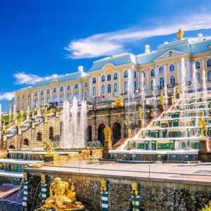 Care este cea mai lungă stradă din St. Petersburg?