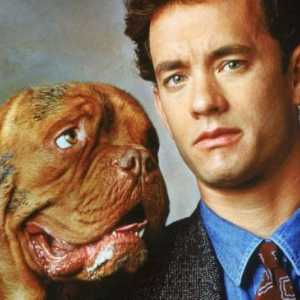 Ce este în filmul "Huch and Turner" rasa unui câine