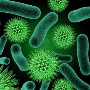 Care sunt bacteriile patogene? Bacteriile și oamenii