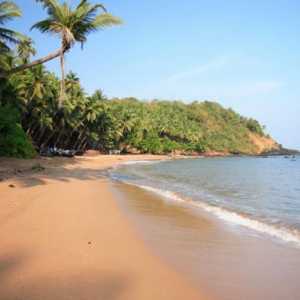 Care sunt acestea, plajele din South Goa?