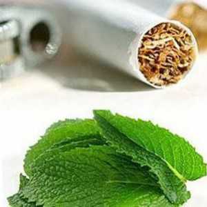 Ce secrete sunt ascunse în țigările de mentol?