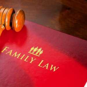 Каким должен быть размер алиментов, если муж официально не работает? Статья 83 Семейного кодекса РФ