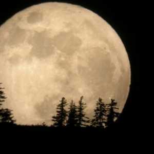 Ce corp ceresc este mai mare - Luna sau Mercur? De ce ar trebui aceste corpuri cerești să fie utile…