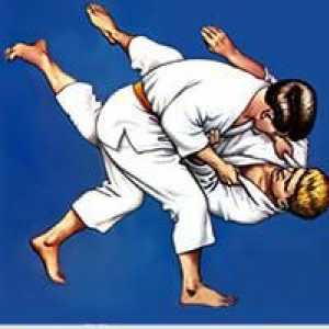 Care este semnificația culorii centurii în judo