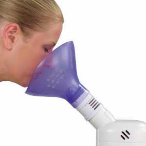 Ce inhalator este mai bun: recenzii și recomandări