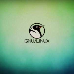 Ce Linux să alegi? Prezentare generală și caracteristici ale sistemului de operare Linux