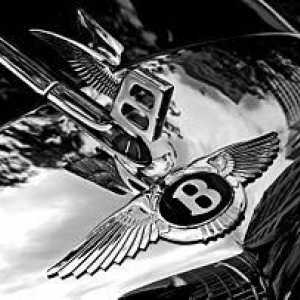 Care este pictograma mașinii Bentley? Istoric și gama de modele a mărcii