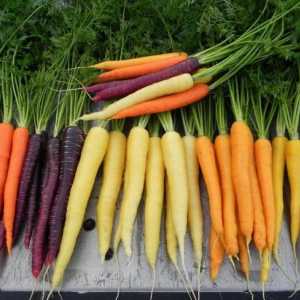 Ce vitamina se găsește în morcovi în cantități mari?