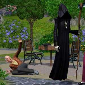 Un joc în realitate virtuală sau cum să devii o moarte "Sims-3"?