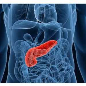 Pietre în pancreas: simptome, tratament
