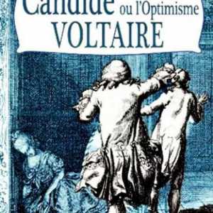 "Candid" Voltaire: analiza lucrării, ideea și ideea principală. Candide sau Optimism: un…