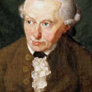 Kant, "Critica rațiunii pure": critică, conținut