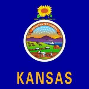 Kansas: floarea-soarelui și barnardul Americii