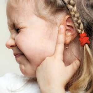 Cade în urechi cu inflamație. Căderea urechii în tratamentul otitei
