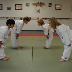 Karate: recepții pentru începători. Tehnici, titluri și descrieri