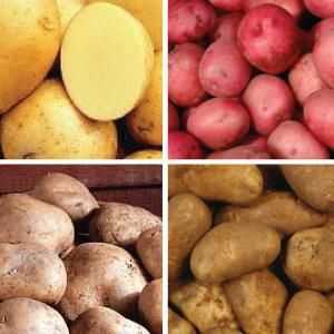Cartofi de sămânță: soiuri (caracteristici și descriere)