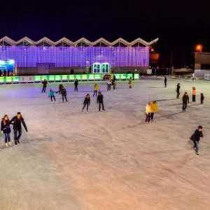 Patinoar în Sokolniki `Ice`: design, servicii, grupuri pentru copii, privilegii