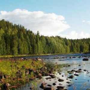 Camping în Karelia: ce să alegi?