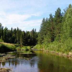 Kerzhenets - râu în regiunea Nizhny Novgorod: descriere, pescuit, odihnă
