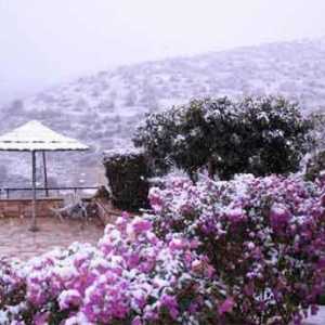 Cipru în ianuarie. Merită să se odihnească pe insulă în timpul iernii