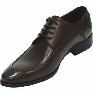 Pantofi pentru bărbați clasici: tipuri, fotografii