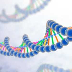 Clasificarea genelor - structurală și funcțională