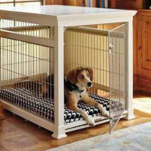 O cușcă pentru câini într-un apartament. Cum de a obișnui câinele în apartament în cușcă?