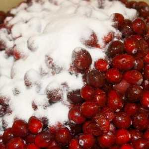 Cranberries, șterse cu zahăr: o rețetă pentru desert proaspăt