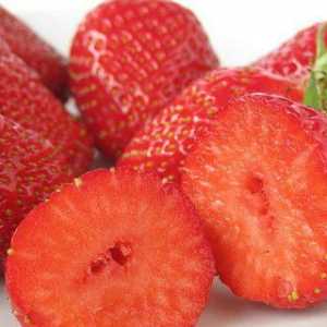 Strawberry Kimberly: descriere a soiului și recenzii
