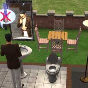 Codul dezvoltatorului pentru "Sims 2": caracteristici