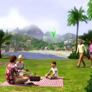 Trucuri pentru "The Sims 3": la sarcini adolescente și alte cheats